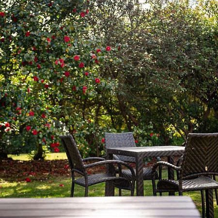 Copthorne Effingham Gatwick Hotel Ngoại thất bức ảnh